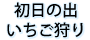 初日の出・いちご狩り
